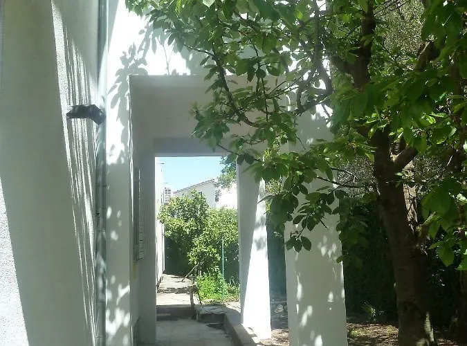 Mrkic 비오그라드나모루